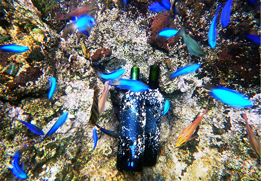 海底熟成ワインVOYAGE【ルケ ディ カスタニョーレ モンフェッラート ブリク ド ビアンク　2021】 海底貯蔵 ワイン 赤 酒 果実酒 ギフト お祝 贈答用 お中元 お歳暮 伊豆