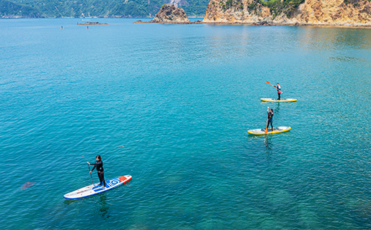 【黄金崎公園】SUP体験　半日コース（１名様） サップ アクティビティ マリンスポーツ 体験 海 夕陽 伊豆