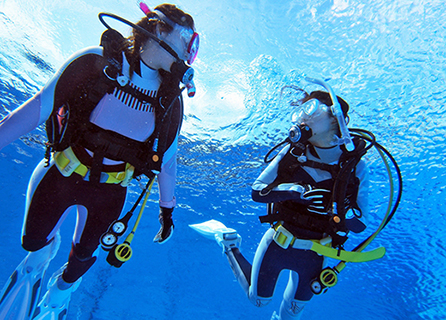 田子シーランドの「ＰＡＤＩオープンウォーターダイバーライセンス2名で講習！（宿泊・朝・夕食付き）」 ダイビング ペア 取得 西海岸 伊豆 マリンアクティビティ マリンスポーツ