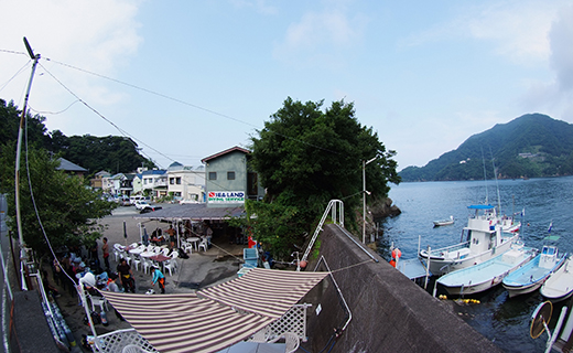 【６５歳以下限定】田子シーランドの「ファンダイビング・２ボート（現地サービス店）」 体験 西海岸 伊豆 ライセンス 保持者限定 マリンアクティビティ マリンスポーツ