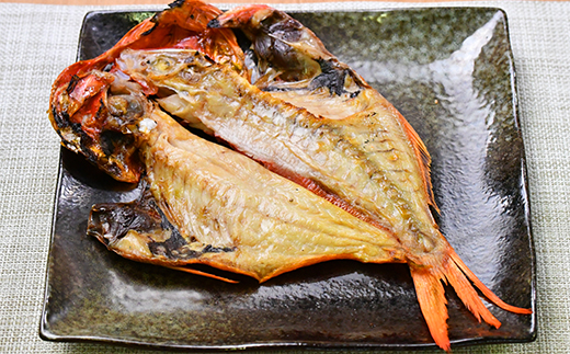 選べる内容量！ 入久水産の「厳選上物干物セット　８枚」 ひもの あじ 金目鯛 みりん干し ギフト 伊豆 静岡 御歳暮 御中元 ８枚