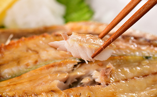 選べる内容量！ 入久水産の「大判干物セット　10枚」 ひもの 金目鯛 あじ さば みりん干し 規格外 詰合せ ギフト 伊豆 静岡 御歳暮 御中元 10枚