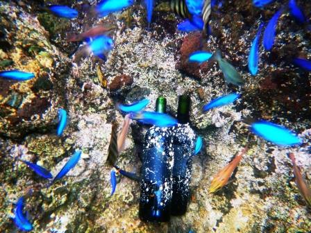 海底熟成ワインVOYAGE【シャトー・モン・ペラ　赤　2019】 海底貯蔵 ワイン 赤 酒 果実酒 ギフト お祝 贈答用 お中元 お歳暮 伊豆