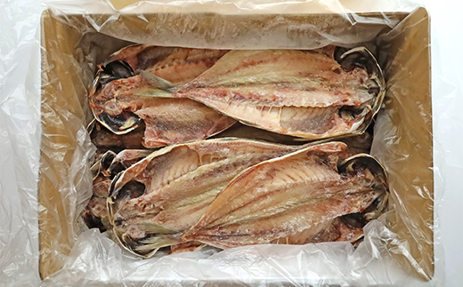 選べる内容量！ 入久水産の「あじの干物が大きすぎちゃってごめんなさい　10枚」 ひもの 鯵 詰合せ 特大 2.2㎏ 以上 御歳暮 御中元 伊豆 ギフト 10枚