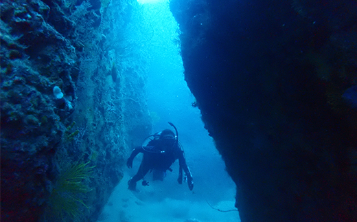 西伊豆安良里2ボートダイビング(フルレンタル器材・昼食込み)