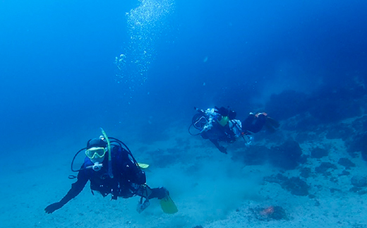 2日間でダイバーデビュー！宿泊、昼食付でライセンス取得