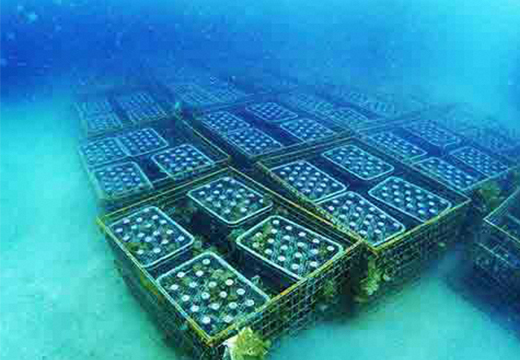 海底熟成ワインVOYAGE【ルケ ディ カスタニョーレ モンフェッラート ブリク ド ビアンク　2021】 海底貯蔵 ワイン 赤 酒 果実酒 ギフト お祝 贈答用 お中元 お歳暮 伊豆