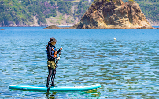 【黄金崎公園】SUP体験　半日コース（１名様） サップ アクティビティ マリンスポーツ 体験 海 夕陽 伊豆