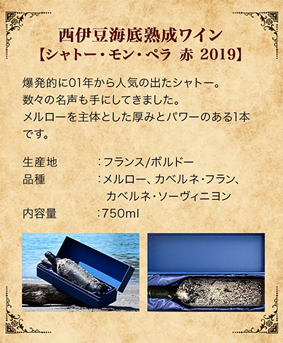 「海底熟成ワインVOYAGE」飲み比べ４本セット 海底貯蔵 ワイン 赤 白 赤白 ミックス セット イタリア フランス 箱付き 箱 飲み比べ 贈答品 ギフト
