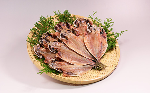 選べる内容量！ 入久水産の「鯵（味）くらべセット　22枚」 干物 ひもの みりん干し あじ 食べ比べ 詰合せ ギフト 伊豆 静岡 御歳暮 御中元 22枚