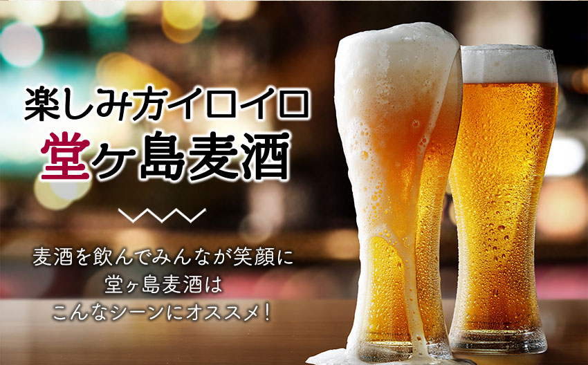地ビール「堂ヶ島麦酒（12本セット）」  麦酒 地ビール 瓶 ご当地 堂ヶ島 飲み比べ クラフトビール 伊豆 ギフト プレゼント