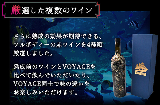 海底熟成ワインVOYAGE【カサーレ ヴェッキオ モンテプルチャーノ ダブルッツォ　2020】 海底貯蔵 ワイン 赤 酒 果実酒 ギフト お祝 贈答用 お中元 お歳暮 伊豆