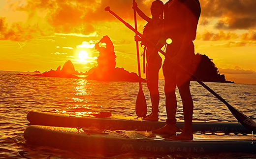 【西伊豆カヤック】SUP体験（１時間半）ペアチケット