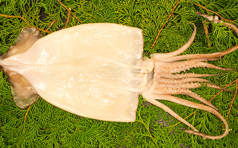 藤文の「新究極干物セット」 伊豆産 金目鯛 のどぐろ さば あじ えぼ鯛 ひもの いか 一夜干し 冷凍 伊豆 ギフト 御歳暮 御中元