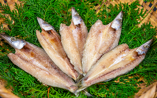 藤文の「にっぽんの干物セット定期便」（年６回） あじ 金目鯛 いか 鯖 さば ひもの 一夜干し 定期便 冷凍 伊豆 ギフト 御歳暮 御中元