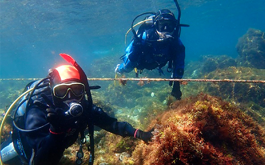 西伊豆黄金崎2ビーチダイビング(フルレンタル器材・昼食込み)