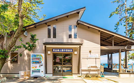 【黄金崎公園】SUP体験　半日コース（１名様） サップ アクティビティ マリンスポーツ 体験 海 夕陽 伊豆