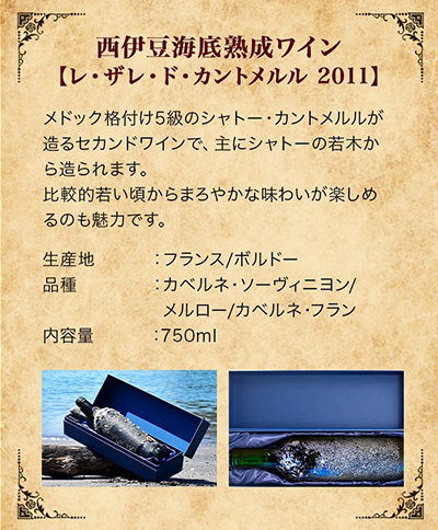 「海底熟成ワインVOYAGE」飲み比べ４本セット 海底貯蔵 ワイン 赤 白 赤白 ミックス セット イタリア フランス 箱付き 箱 飲み比べ 贈答品 ギフト
