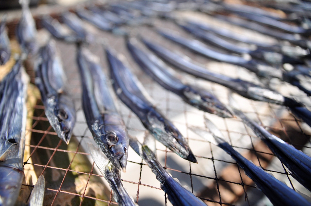 藤文の「西風ひものセット」 秋刀魚 さんまはりこ 鯵 あじ 金目鯛 干物 一夜干し 伊豆 ギフト 御歳暮 御中元