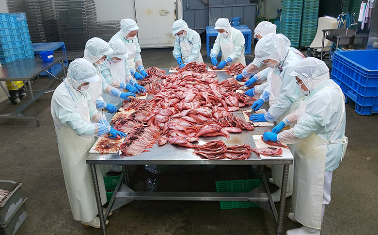 藤文の「びっくり規格外セット定期便」（年６回） あじ 金目鯛 さば 干物 ひもの 規格外 定期便 冷凍 伊豆 ギフト 御歳暮 御中元