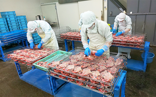 藤文の「ふるさと干物　ライト　13枚」 ひもの セット 金目 さんま あじ みりん 選べる ギフト 御中元 御歳暮 伊豆