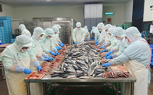 選べる内容量！ 藤文の「びっくり規格外　ライト　8枚」 干物 ひもの セット 金目 あじ ほっけ 選べる ギフト 御中元 御歳暮 伊豆 8枚