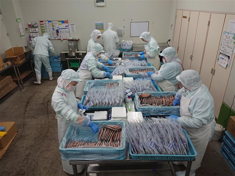 選べる内容量！ 藤文の「真あじ大満足　ライト　30枚」 干物 ひもの セット 30枚 あじ 朝食 選べる ギフト 御中元 御歳暮 伊豆 30枚