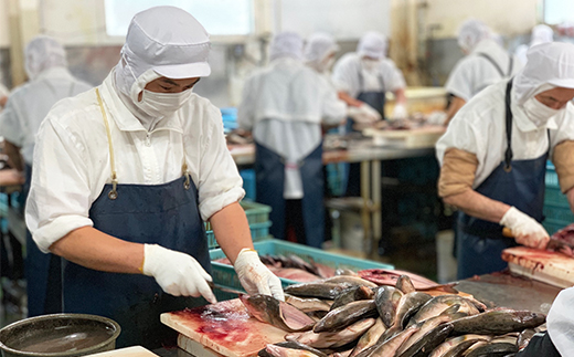 大島水産の「でっかい干物詰合せ定期便（年4回）」 あじ ほっけ 金目鯛 赤魚 開き ひらき ひもの みりん干し 定期便 冷凍 伊豆 ギフト 御歳暮 御中元