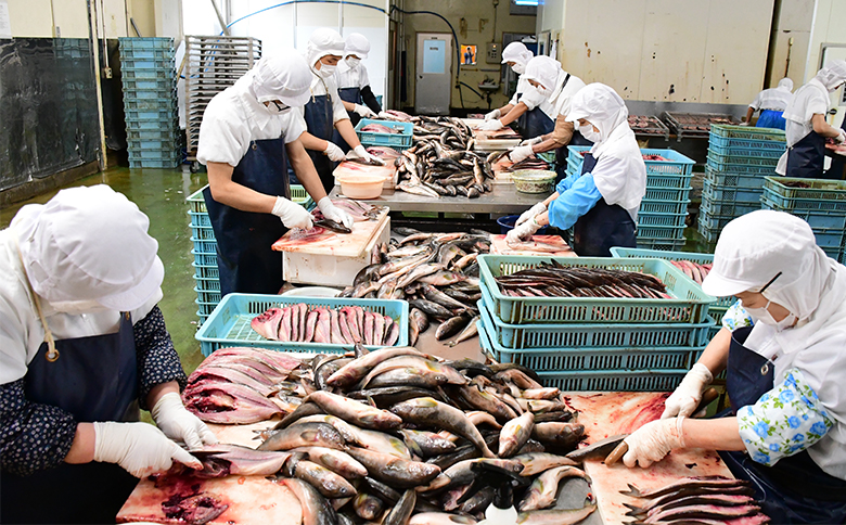 大島水産の「新西伊豆加工みりん干しセット」 さば ほっけ あじ みりん干し 味醂 詰合せ 冷凍 伊豆 ギフト 御歳暮 御中元