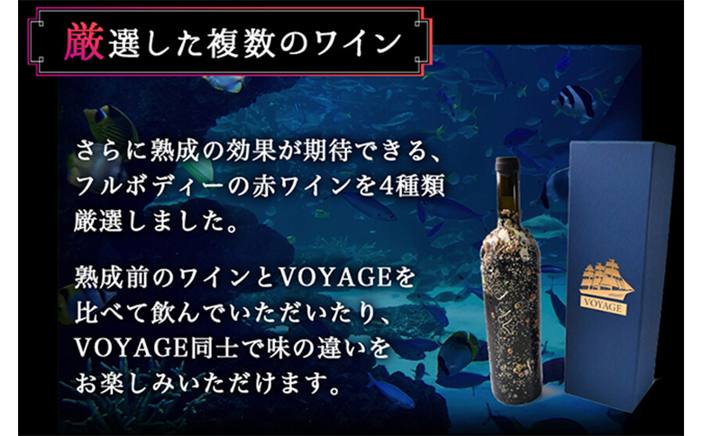 「海底熟成ワインVOYAGE」飲み比べ４本セット 海底貯蔵 ワイン 赤 白 赤白 ミックス セット イタリア フランス 箱付き 箱 飲み比べ 贈答品 ギフト