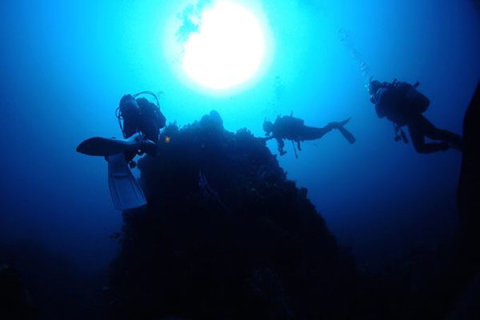 西伊豆堂ヶ島の海でライセンス取得（２日間）追加費用なし ダイビング マリンスポーツ アクティビティ ライセンス 資格 取得 堂ヶ島 体験 海 魚