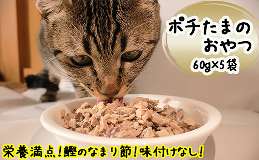 田子丸の「ポチたまのおやつ　詰め合わせ」 犬 猫 いぬ ねこ イヌ ネコ ペット ご飯 鰹なまり節 かつお カツオ 常温 伊豆 ギフト 御歳暮 御中元