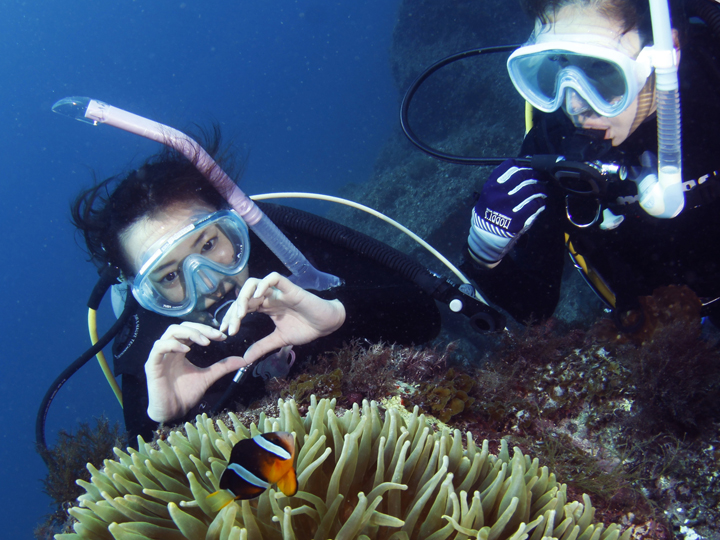 透明度抜群の黄金崎でダイビング！（２ビーチガイド付き） マリンスポーツ アクティビティ ダイビング ダイバー 体験 海 魚