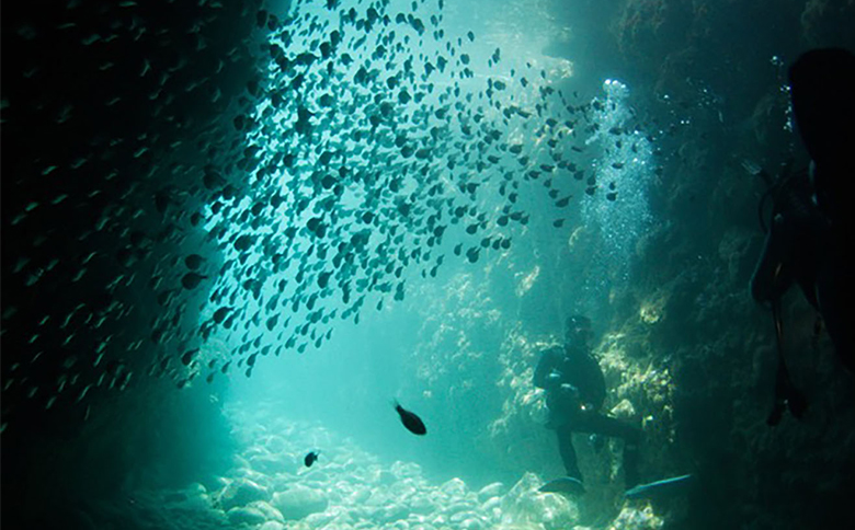 のんびり２ボートダイビング（フルレンタルパック）