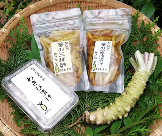 【世界農業遺産認定】西伊豆町の本わさび・無添加漬物セット（岡原わさび） 天城山 清流 しょうゆ漬け 三杯酢漬け わさび漬け 無添加 お刺身 さしみ ステーキ 薬味 冷蔵 伊豆 ギフト お歳暮 お中元
