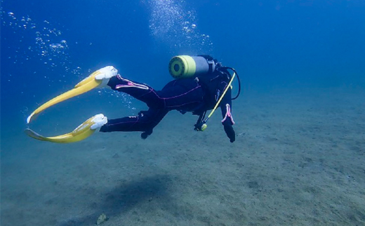 2日間でダイバーデビュー！宿泊、昼食付でライセンス取得