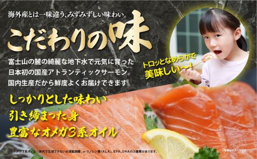 日本初 完全陸上養殖 フジアトランティックサーモン 冷蔵 1尾丸ごと（ 3.5～4.0kg未満サイズ ）