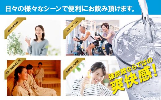【2ケース】富士山の強炭酸水500ml×48本入