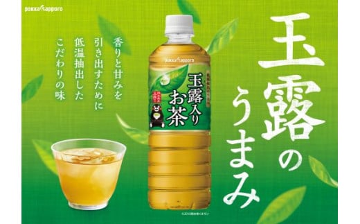 1Ｂ2玉露入りお茶600ｍｌ×24本入【北海道・沖縄・離島　配送不可】