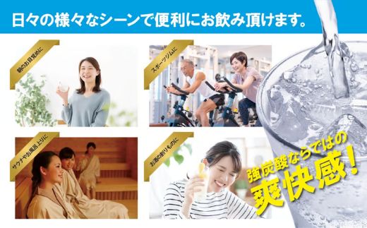 【２ケース】富士山の強炭酸水 レモン×48本入