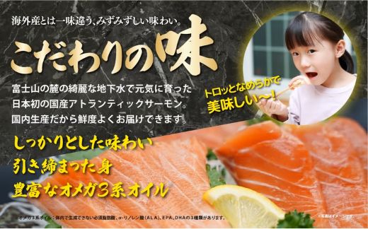 2B10小山町産アトランティックサーモン（４パック）