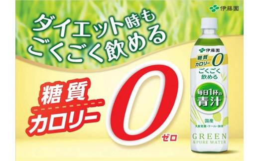 3O1【定期便６か月コース】伊藤園　ごくごく飲める毎日1杯の青汁900g×12本（1箱）×6回