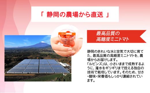 4A28アメーラルビンズ＆ルビンズゴールド　5パック入り