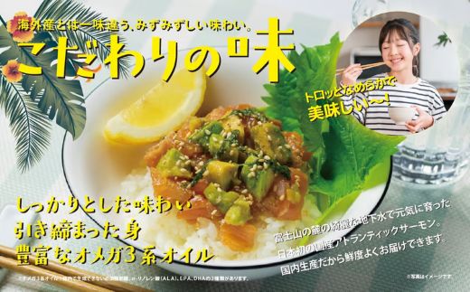 日本初 完全陸上養殖 静岡県小山町産 アトランティックサーモン 冷凍 ポキ丼 （ 約160g × 4パック ）コク旨ごまだれ