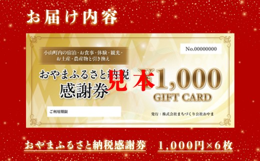 E16おやま ふるさと納税 感謝券 20,000円分（1,000円券×6枚）