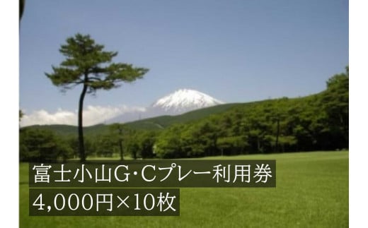 Q37富士小山Ｇ・Ｃプレー利用券　１０枚 【小山町内 ゴルフ場 共通利用券】