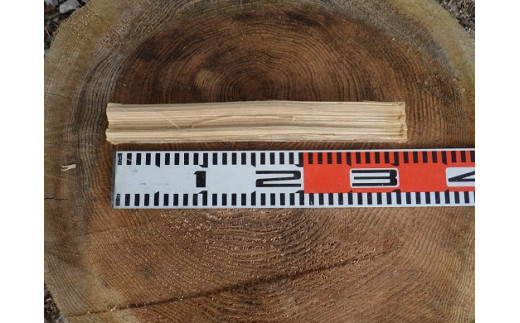 1B12「きこりの薪」A足柄山セット　針葉樹