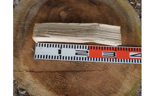 1B13「きこりの薪」B金時山セット　ミックス広葉樹