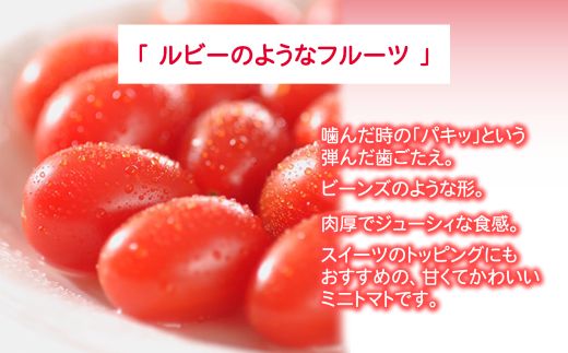 B50アメーラルビンズ　5パック入り