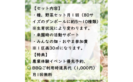 3AD2足柄ふれあい公園　体験農園　畑オーナープラン（12か月）